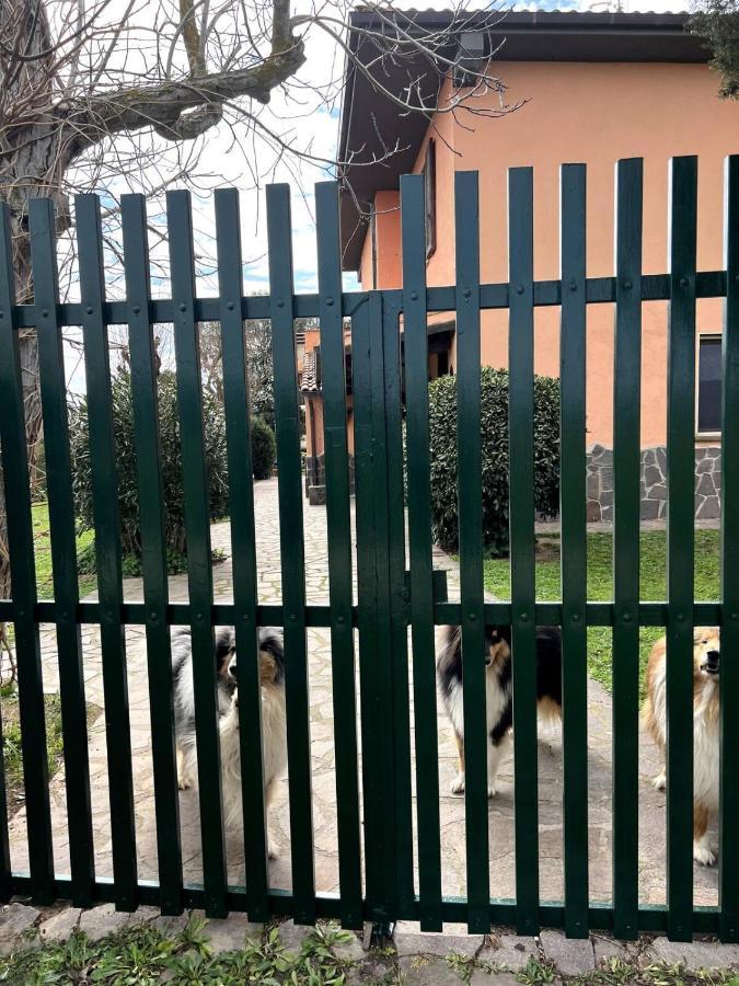 Loc.Cioccaie Διαμέρισμα Γκροσέτο Εξωτερικό φωτογραφία